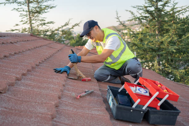 Best Storm Damage Roof Repair  in Senath, MO
